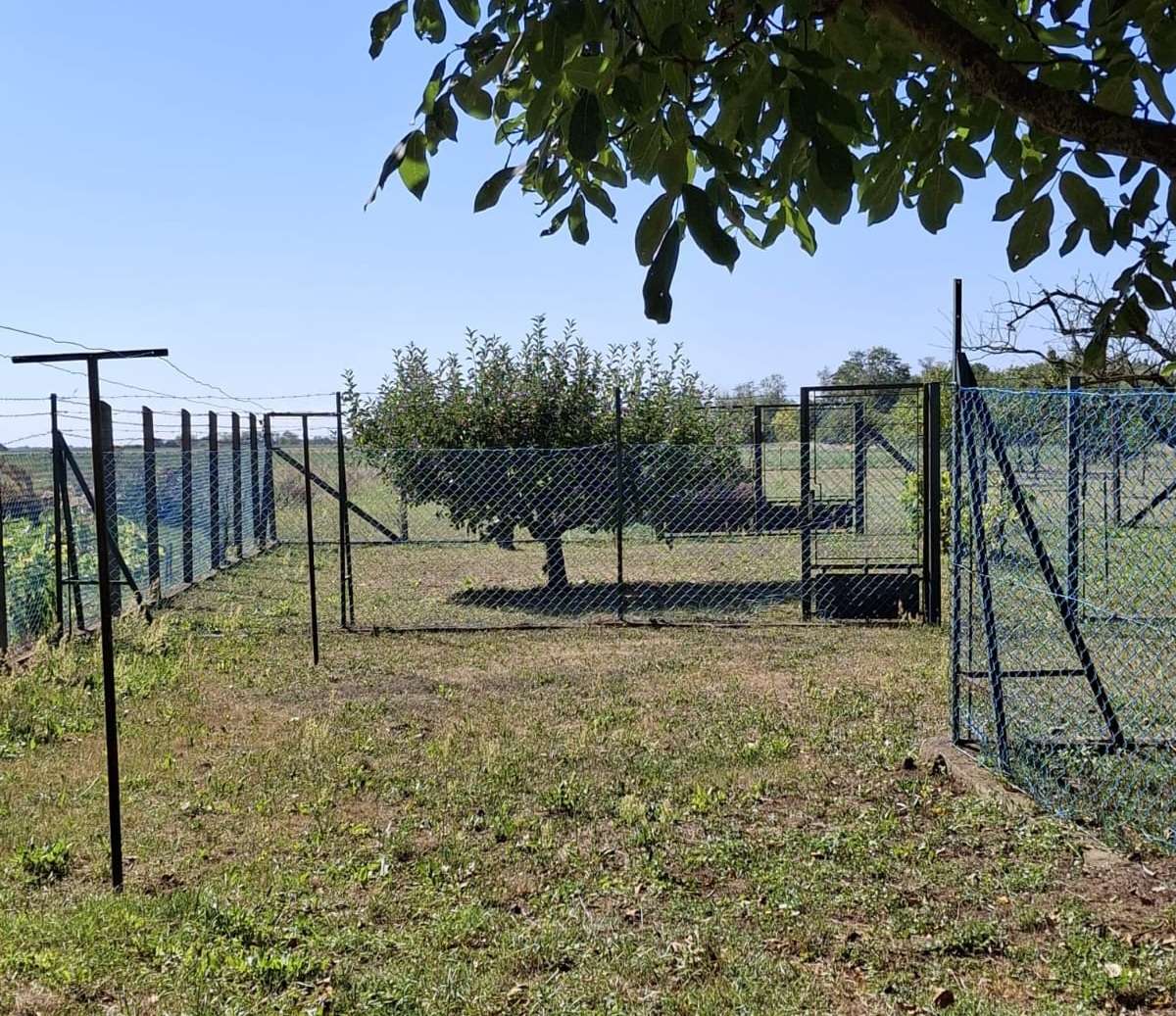 [object Object] - image