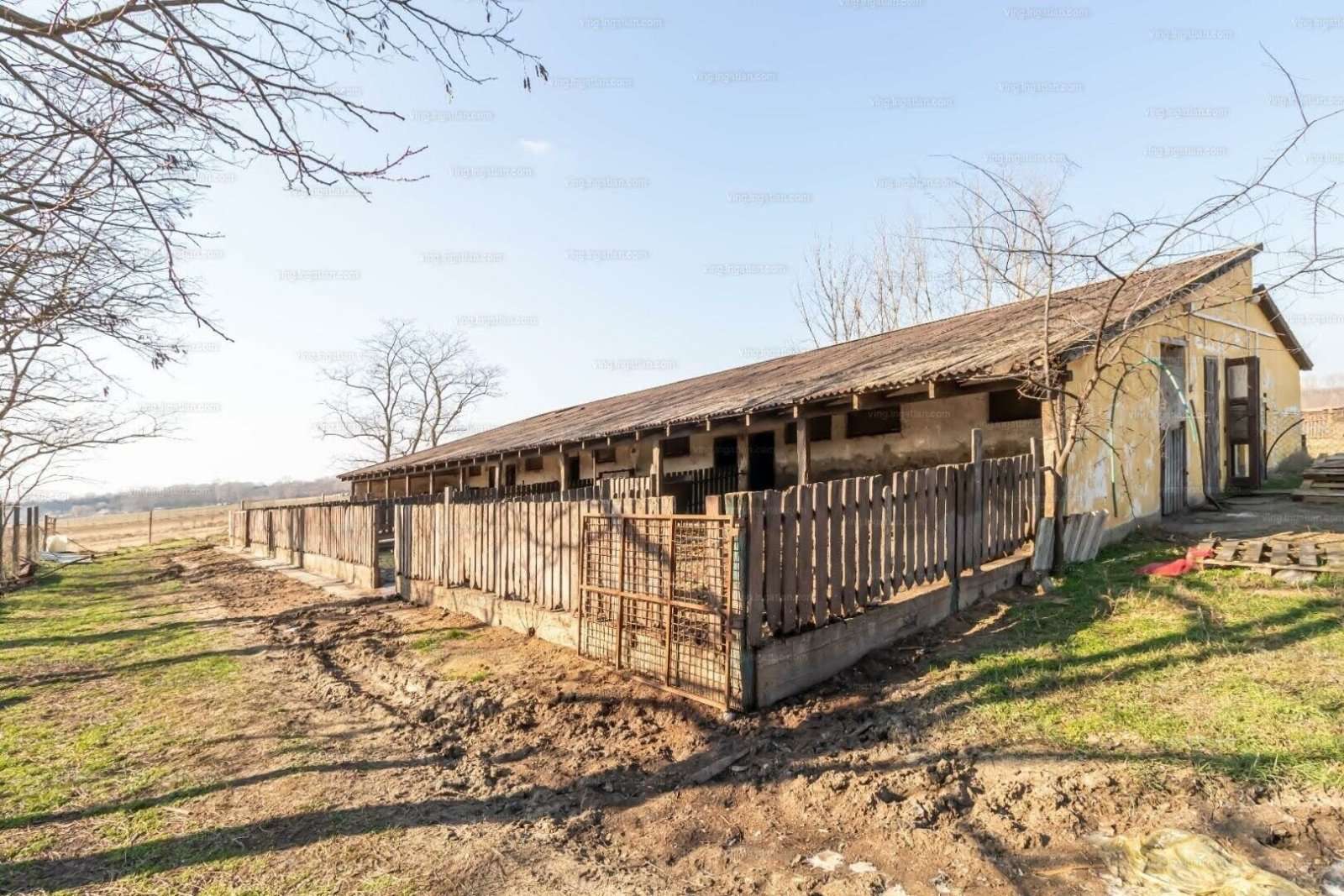 [object Object] - image