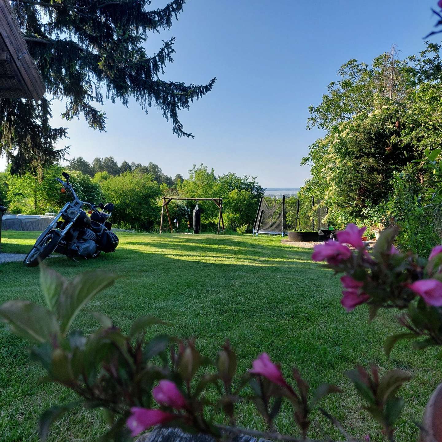 [object Object] - image