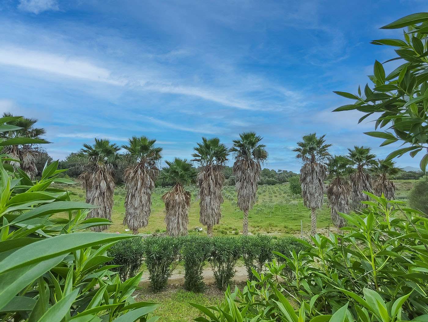 [object Object] - image