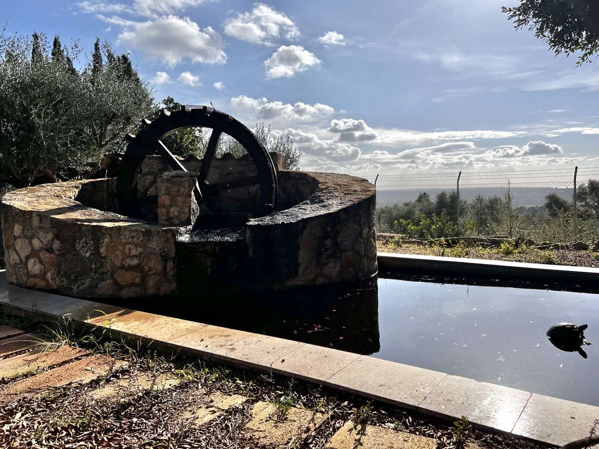 [object Object] - image