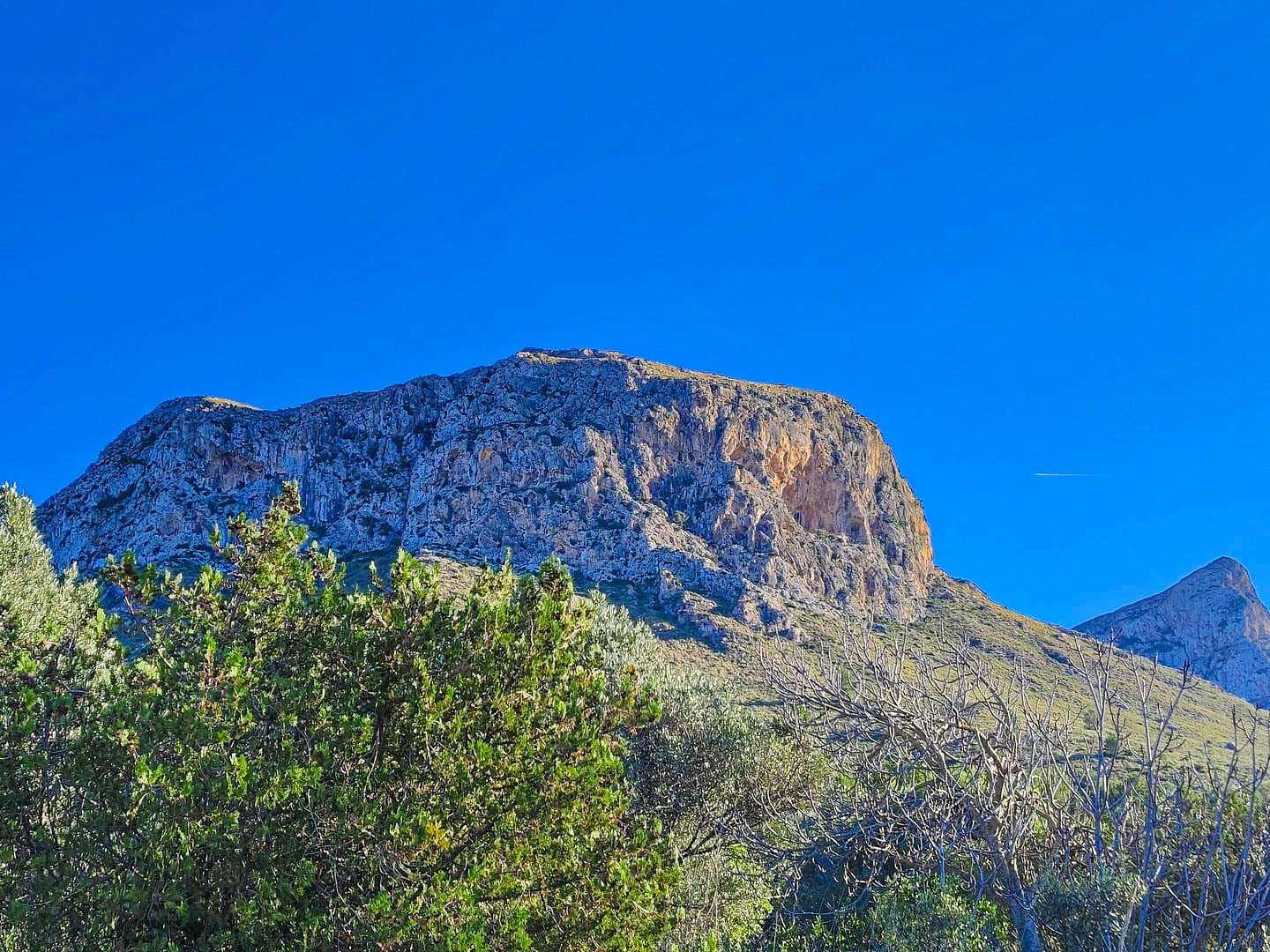 [object Object] - image