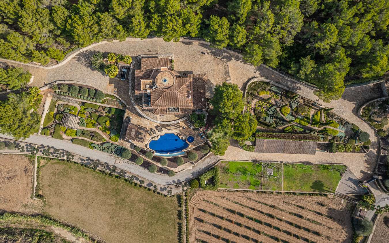 [object Object] - image