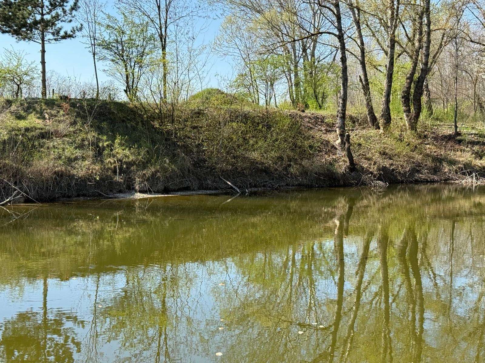 [object Object] - image