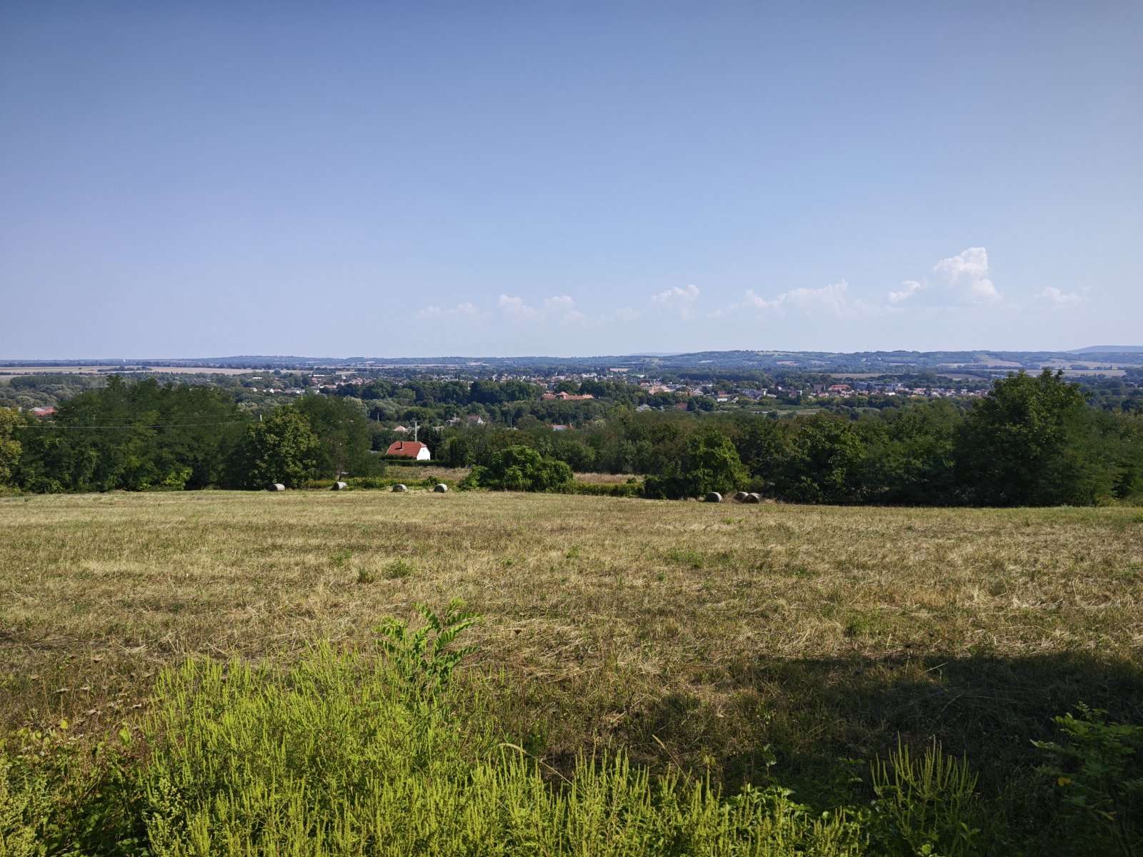 [object Object] - image