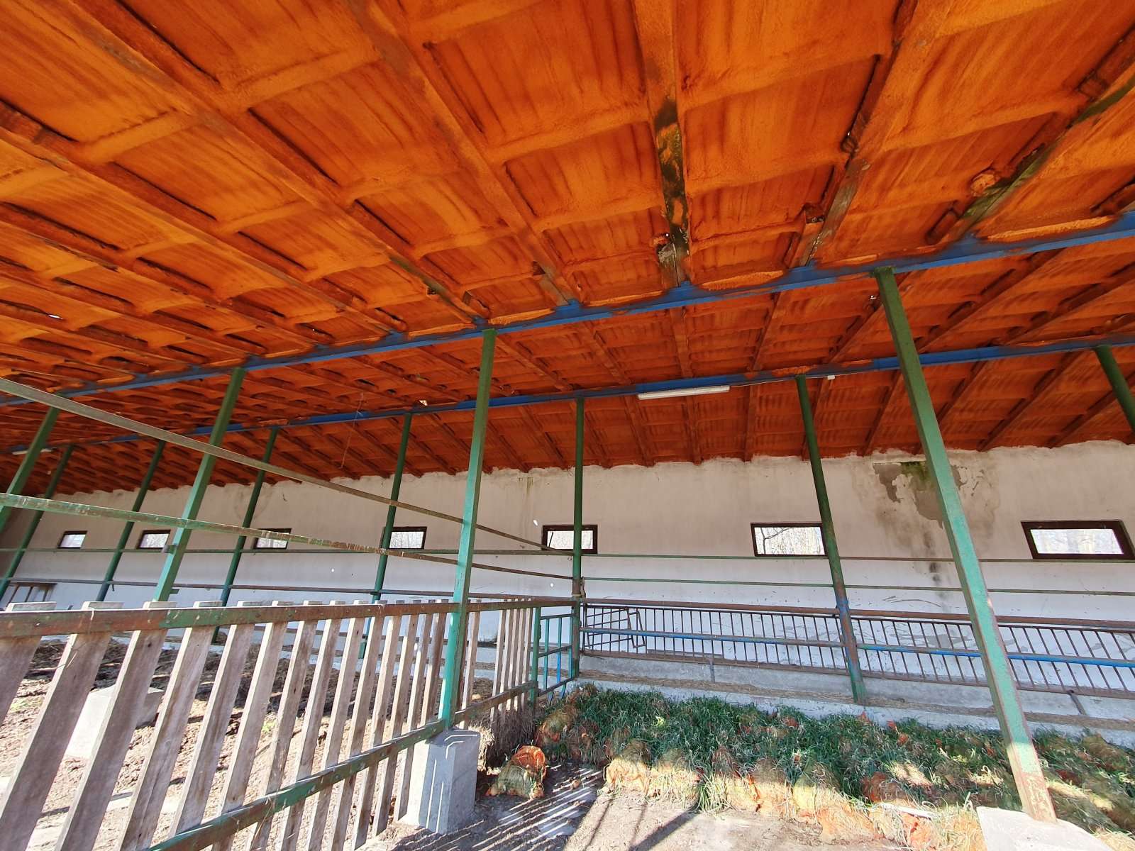 [object Object] - image