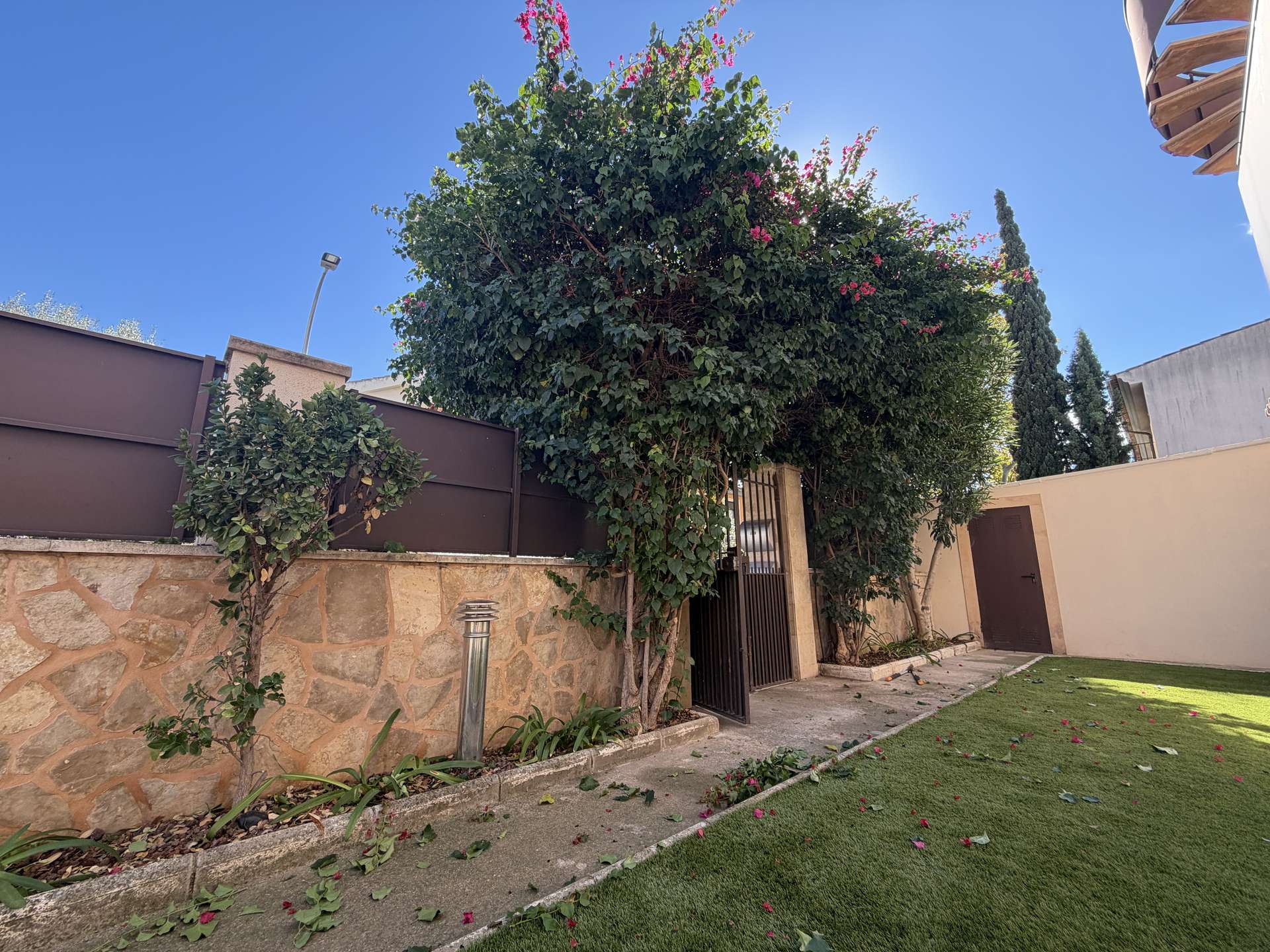 [object Object] - image