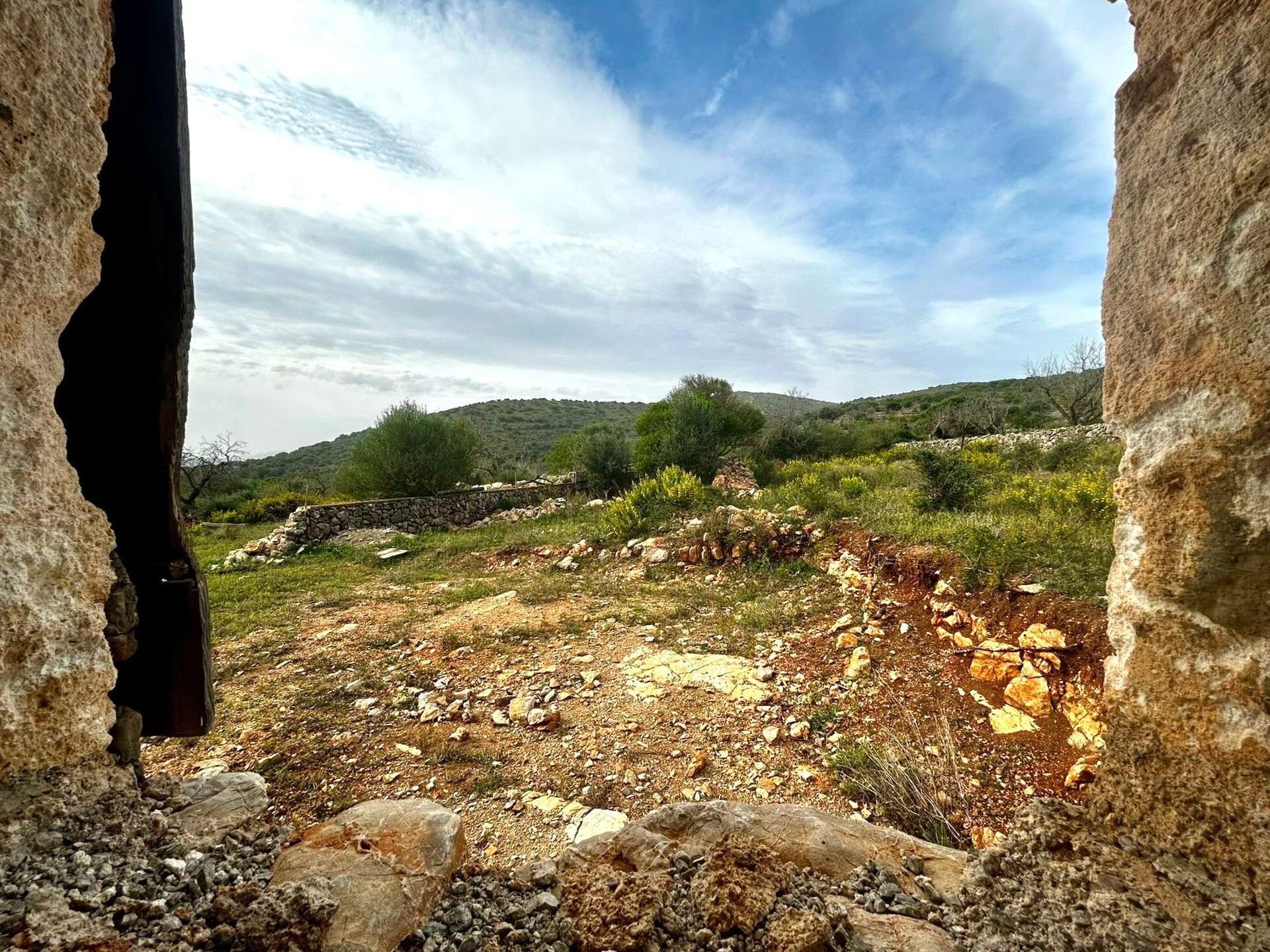 [object Object] - image