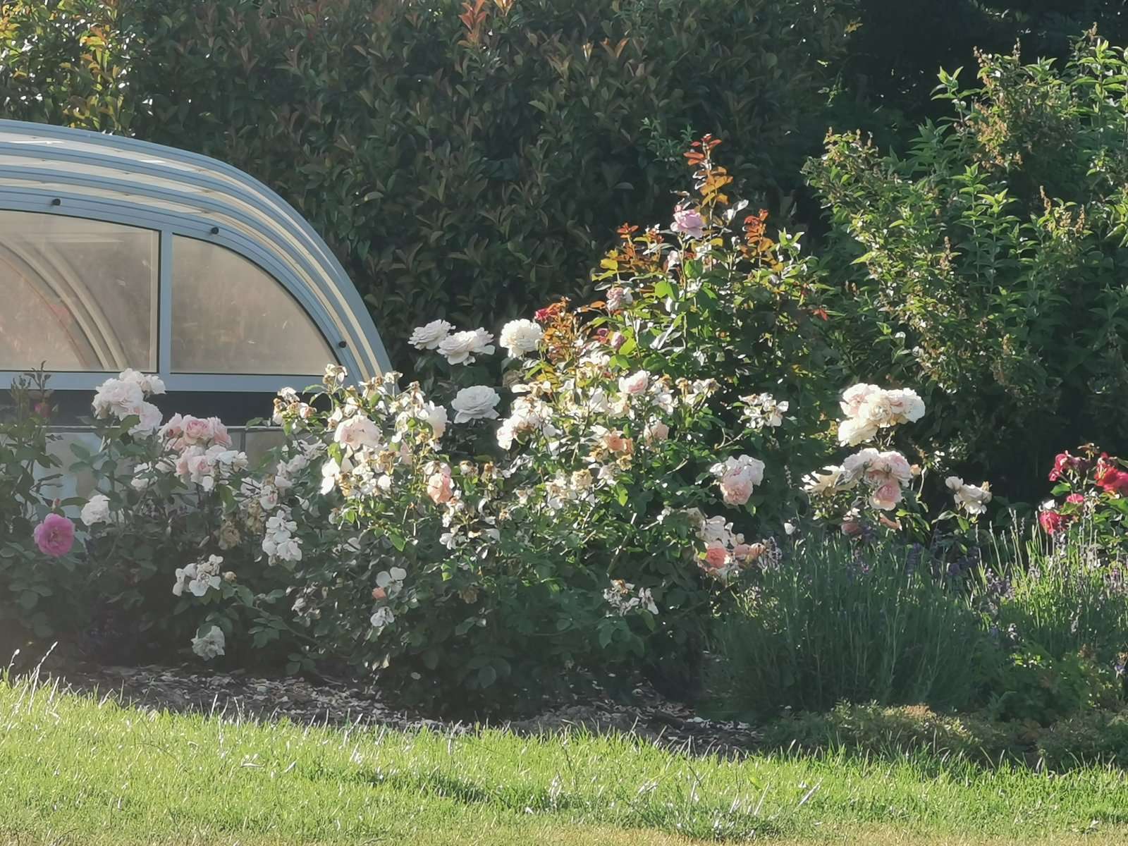 [object Object] - image