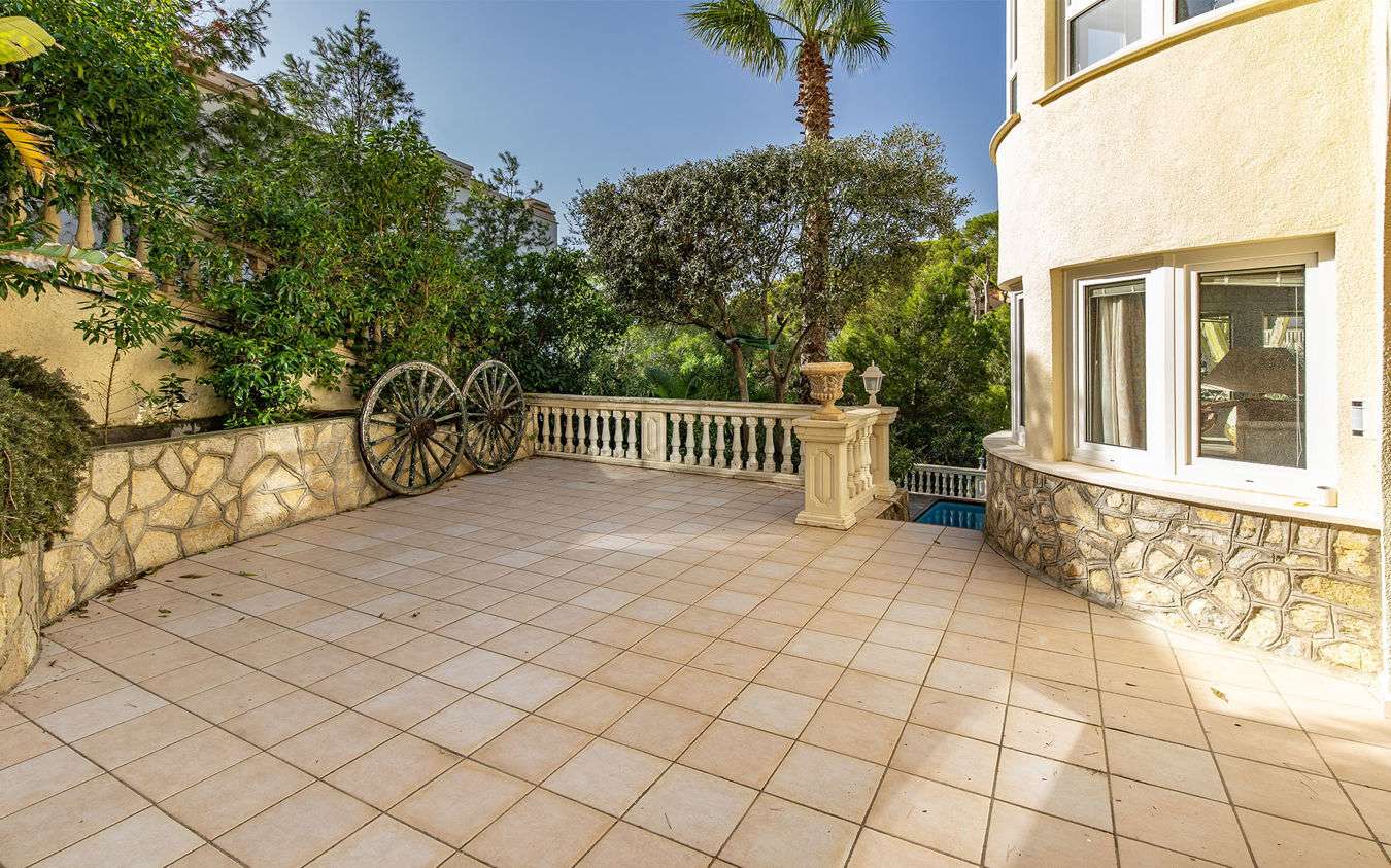 [object Object] - image