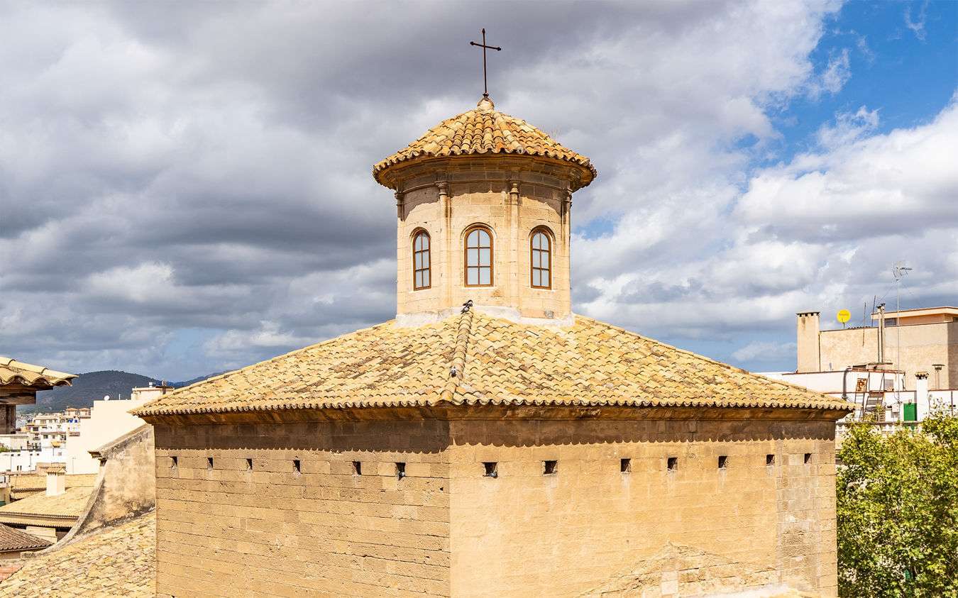 [object Object] - image