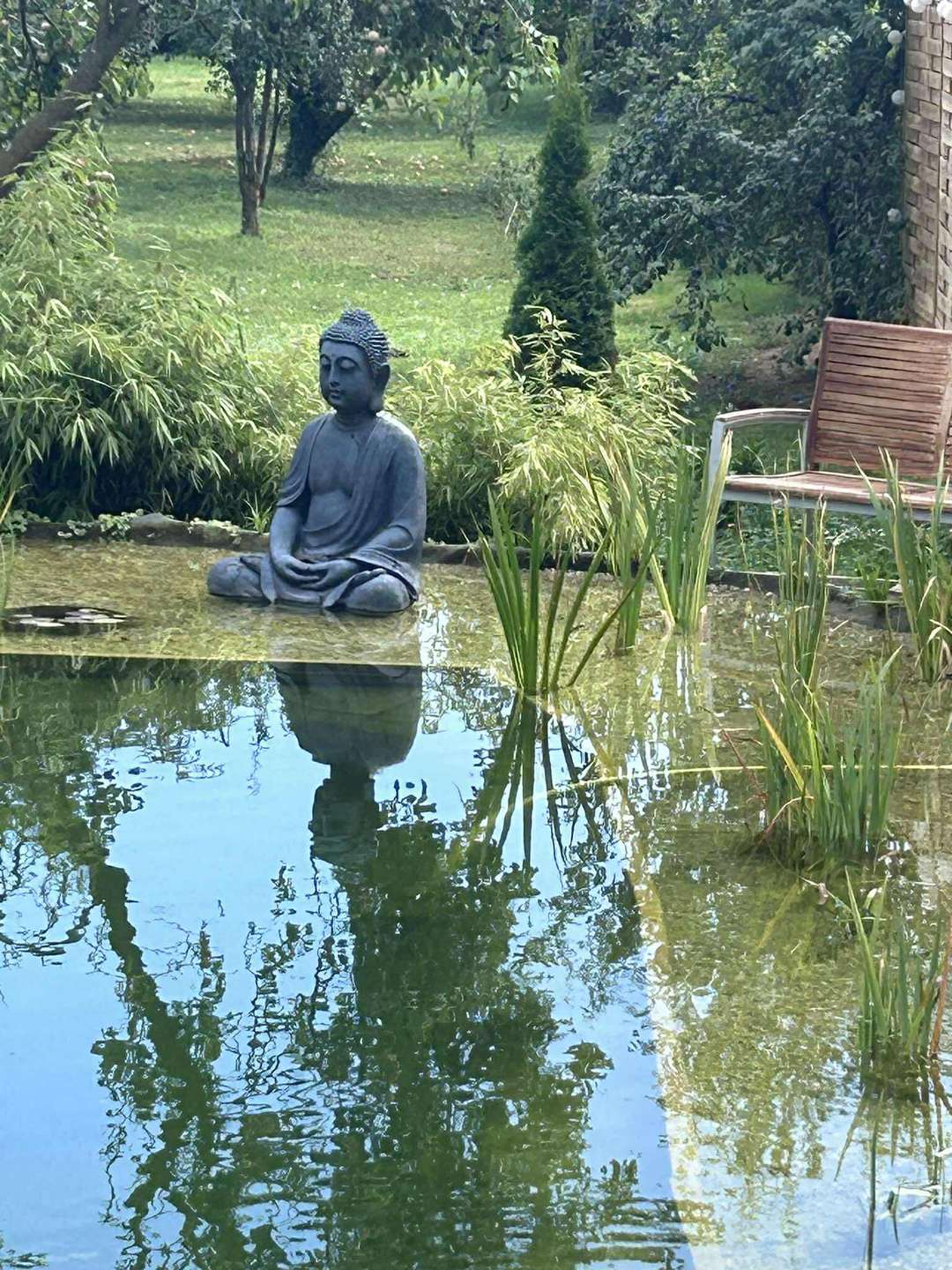 [object Object] - image