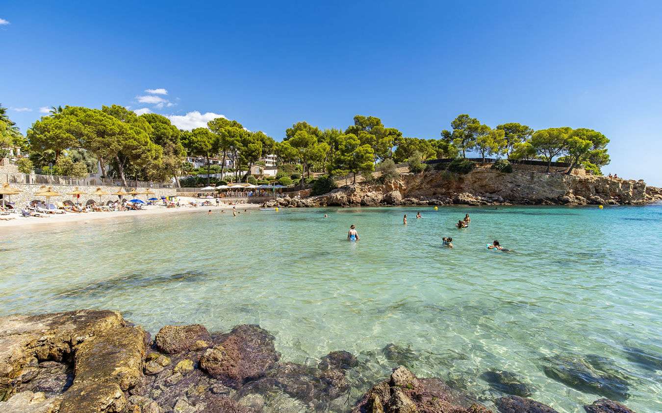 [object Object] - image