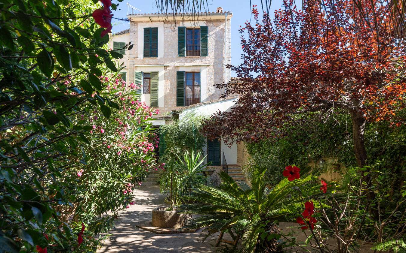 [object Object] - image