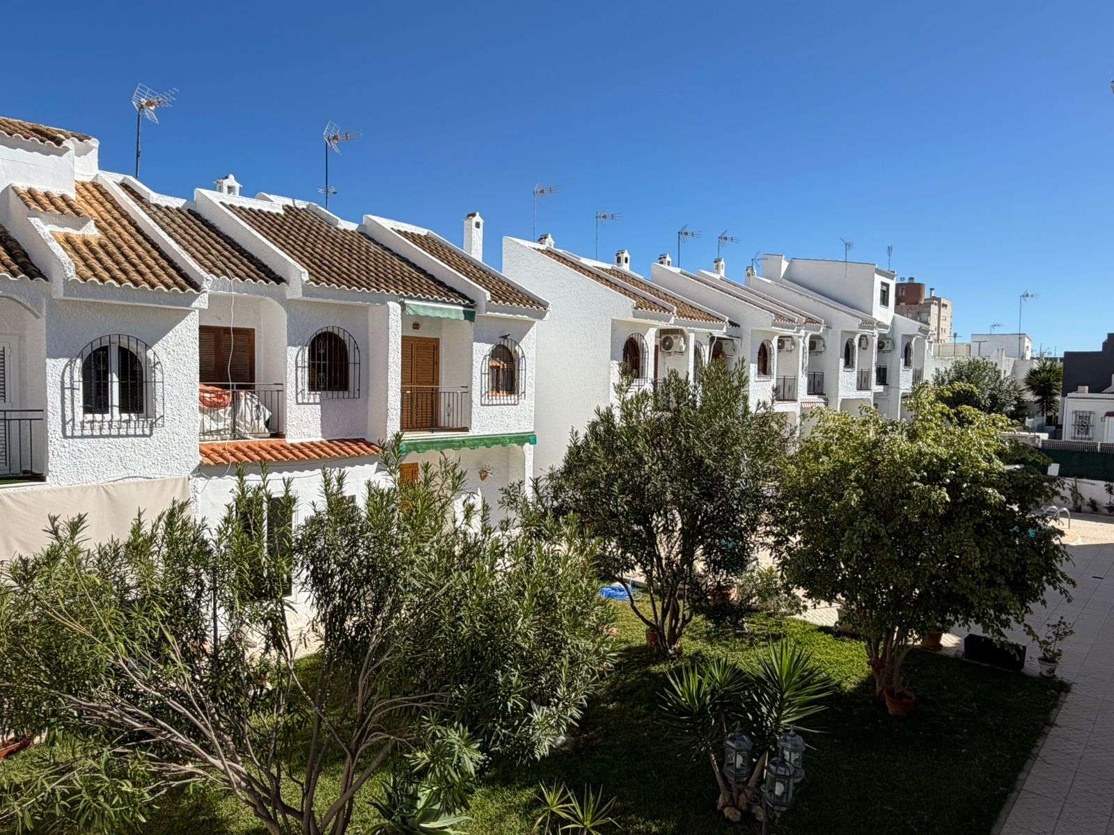 [object Object] - image