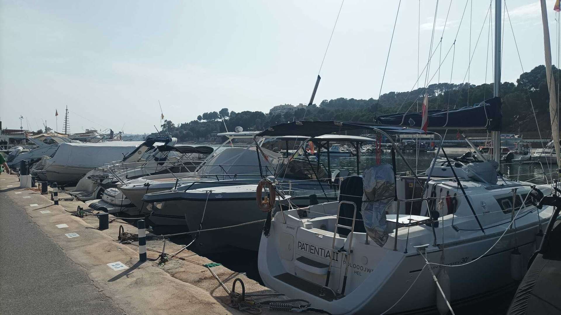 [object Object] - image