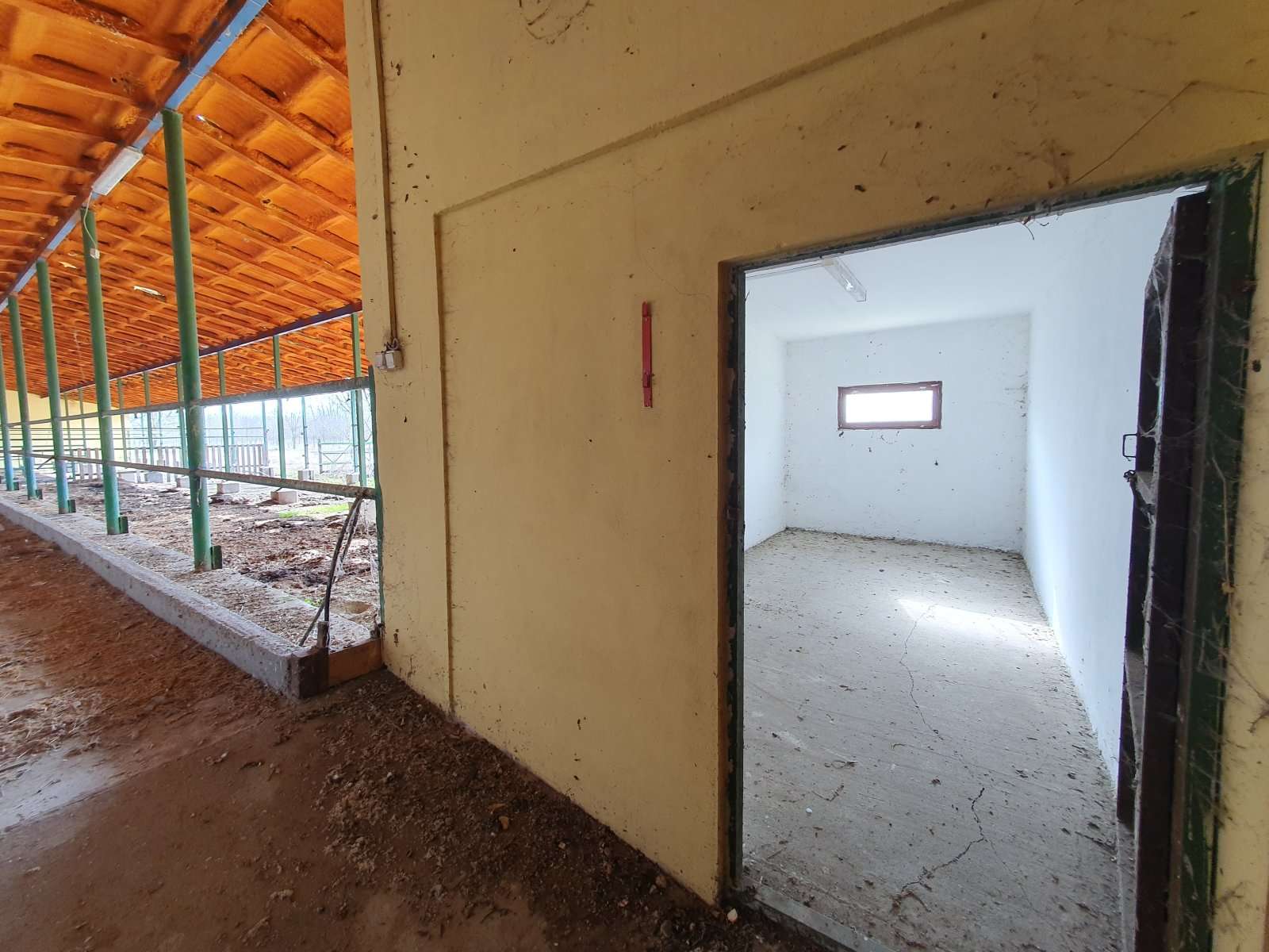 [object Object] - image