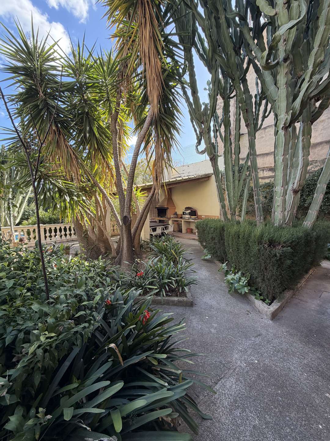 [object Object] - image