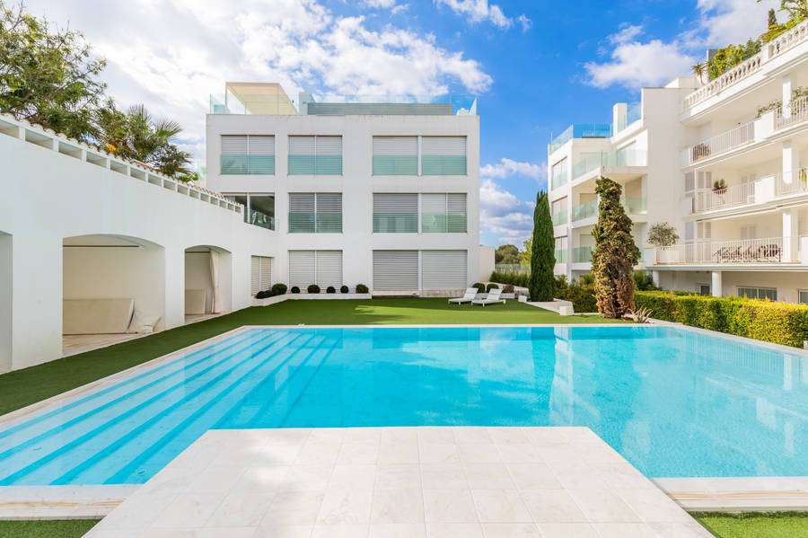 [object Object] - image