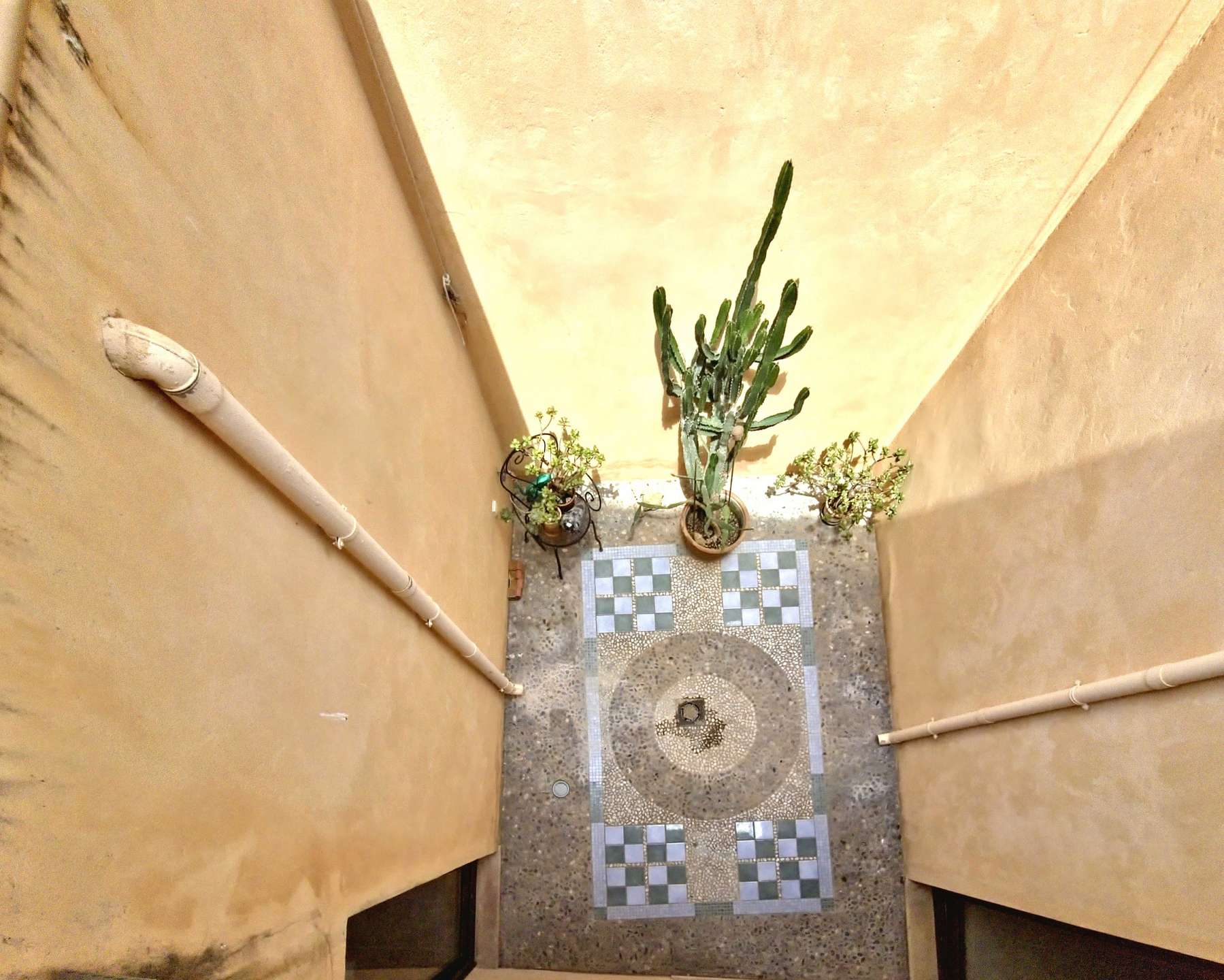 [object Object] - image