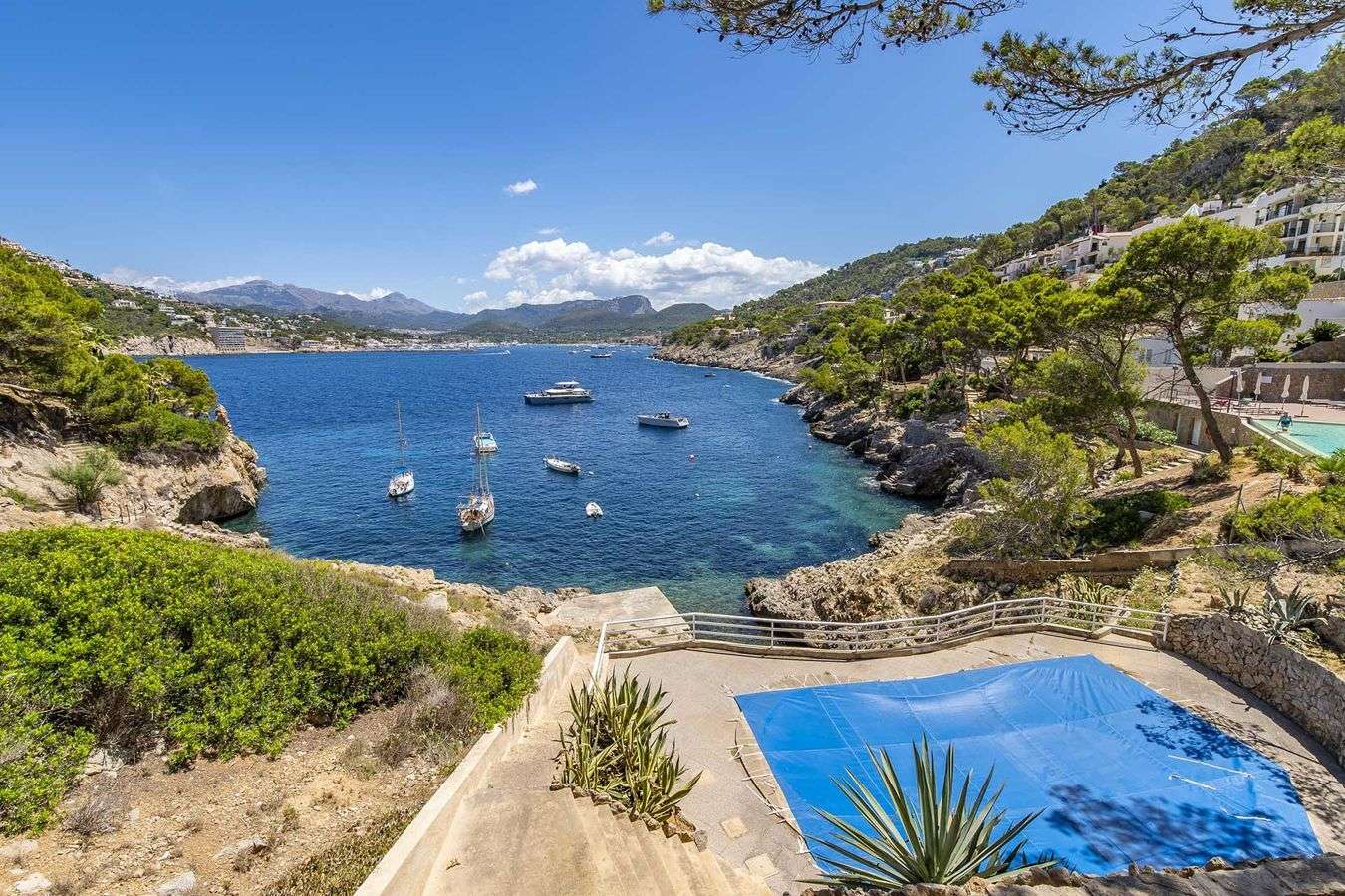 [object Object] - image