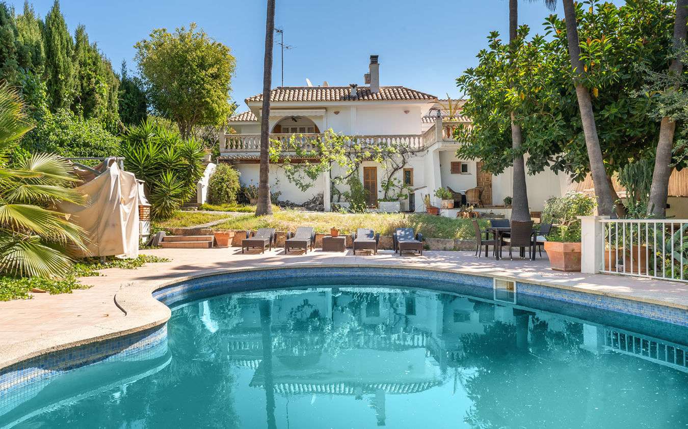 [object Object] - image