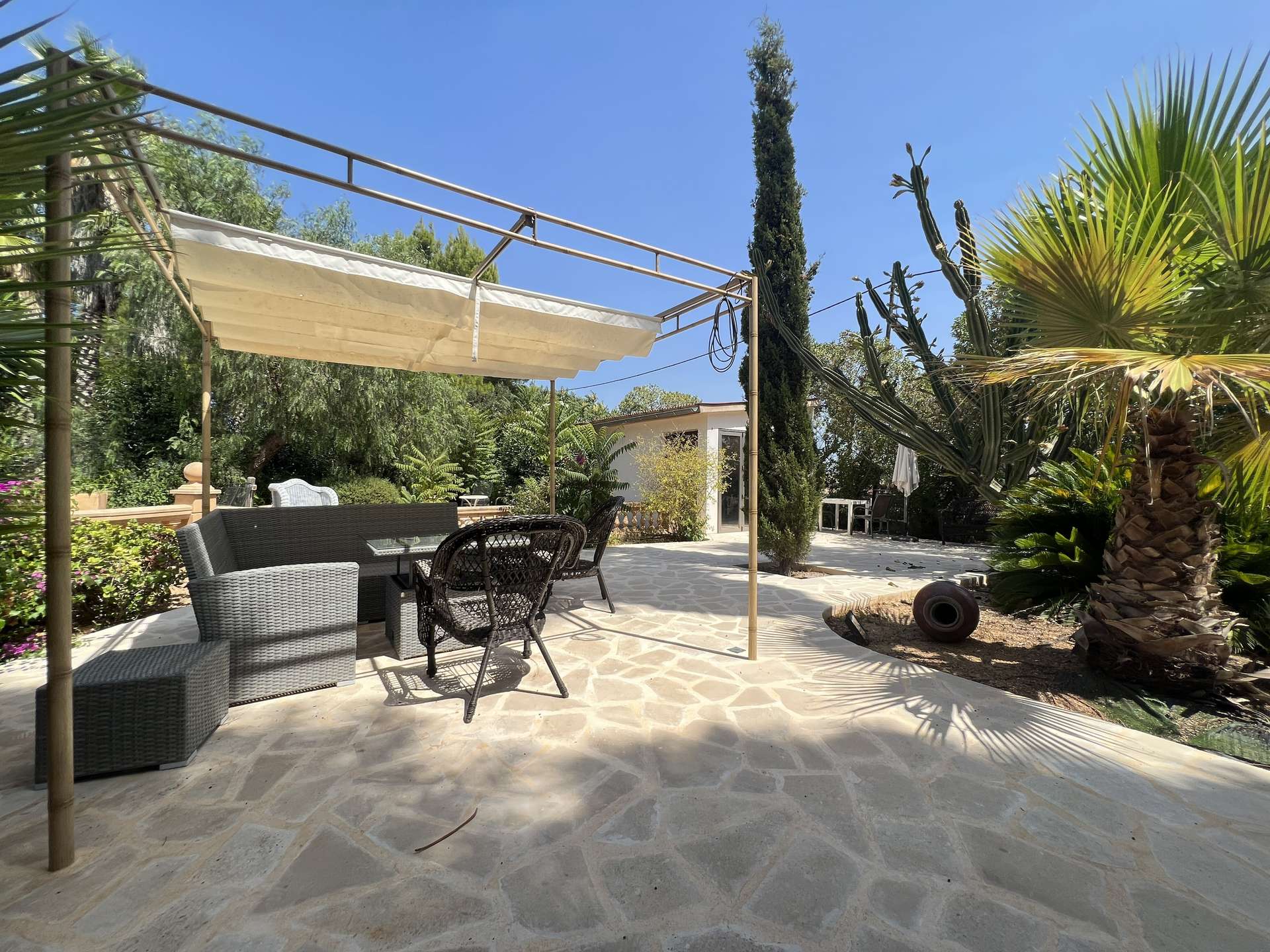 [object Object] - image