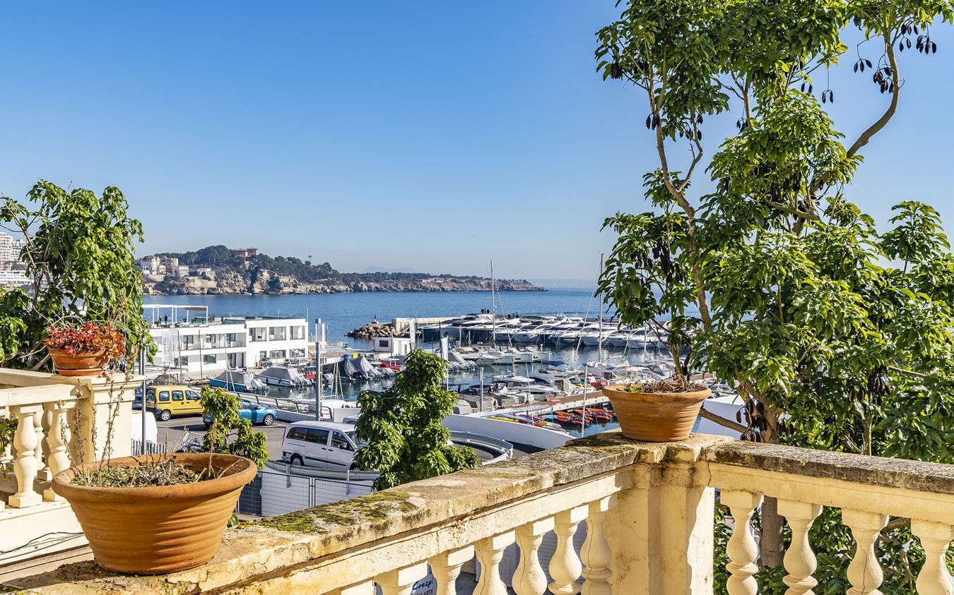 [object Object] - image