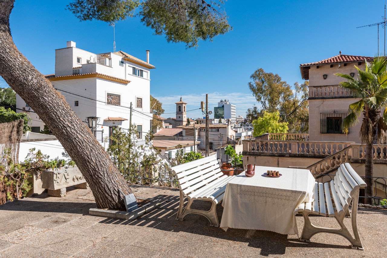 [object Object] - image