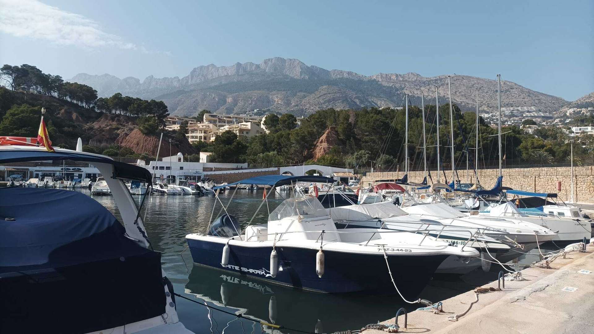 [object Object] - image