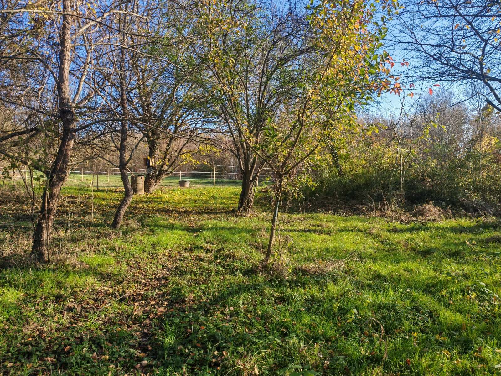 [object Object] - image