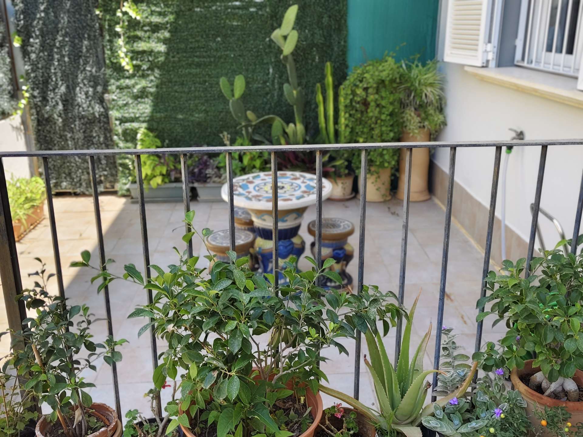 [object Object] - image