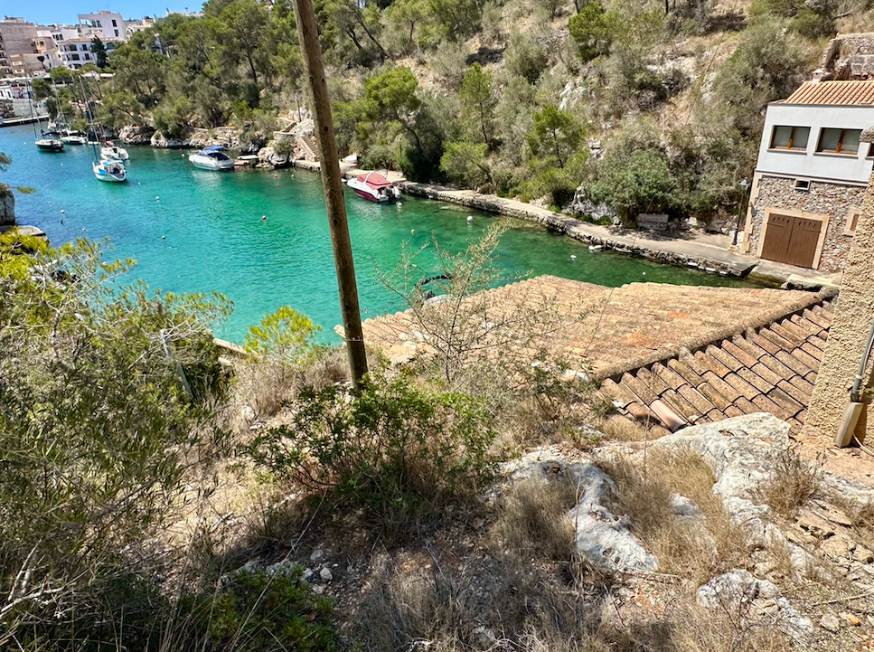 [object Object] - image