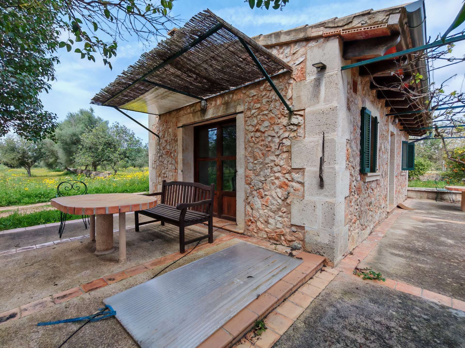 [object Object] - image