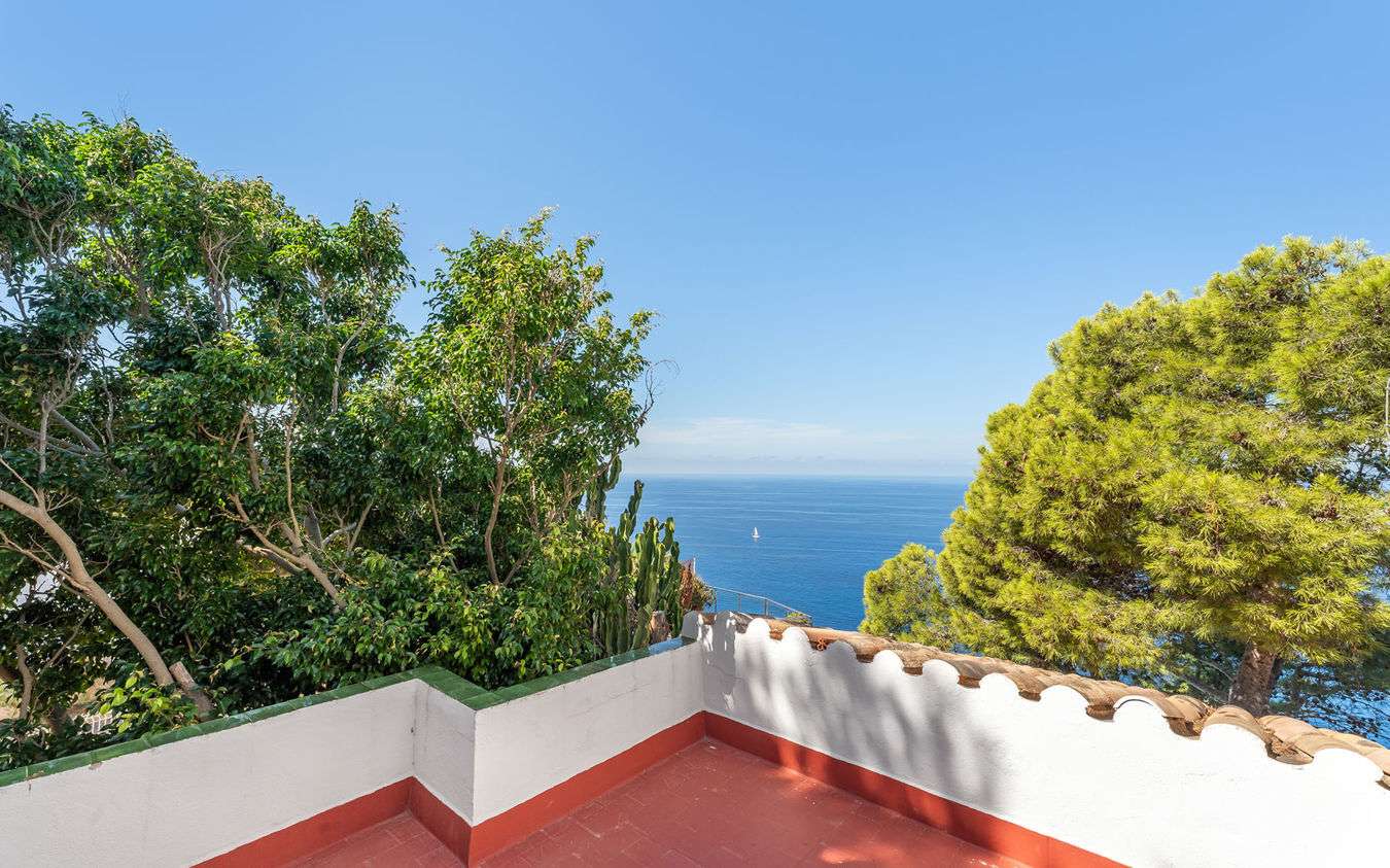 [object Object] - image