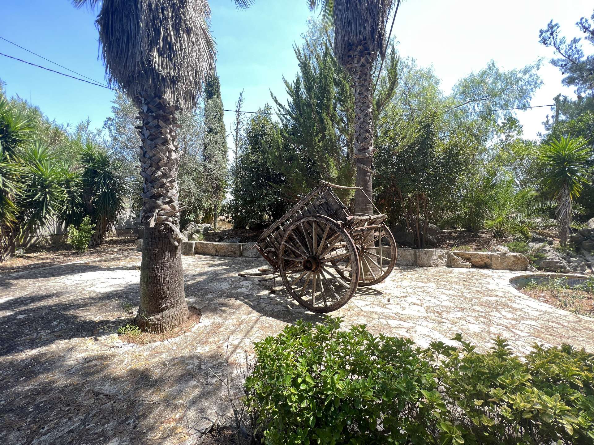 [object Object] - image