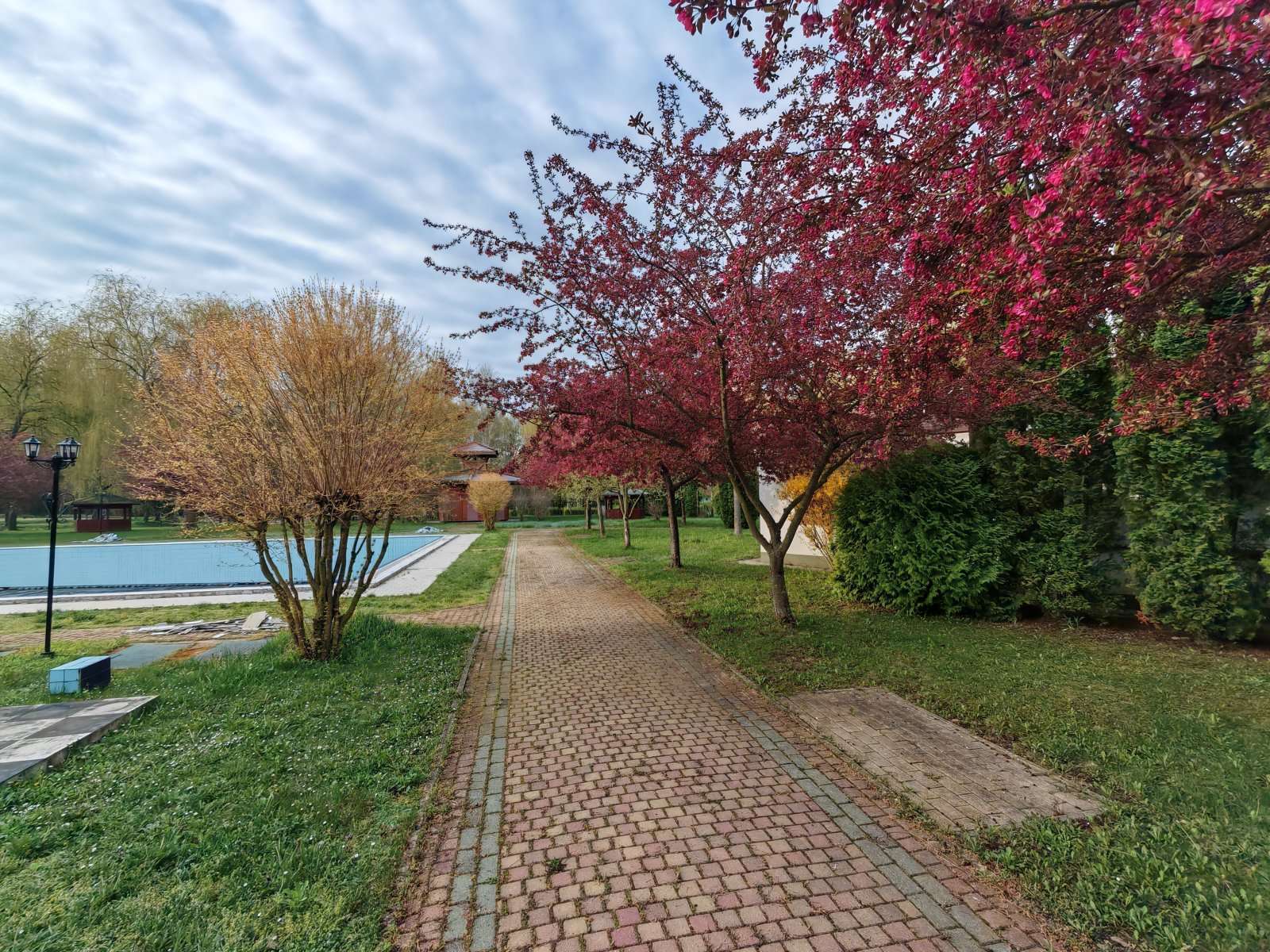 [object Object] - image