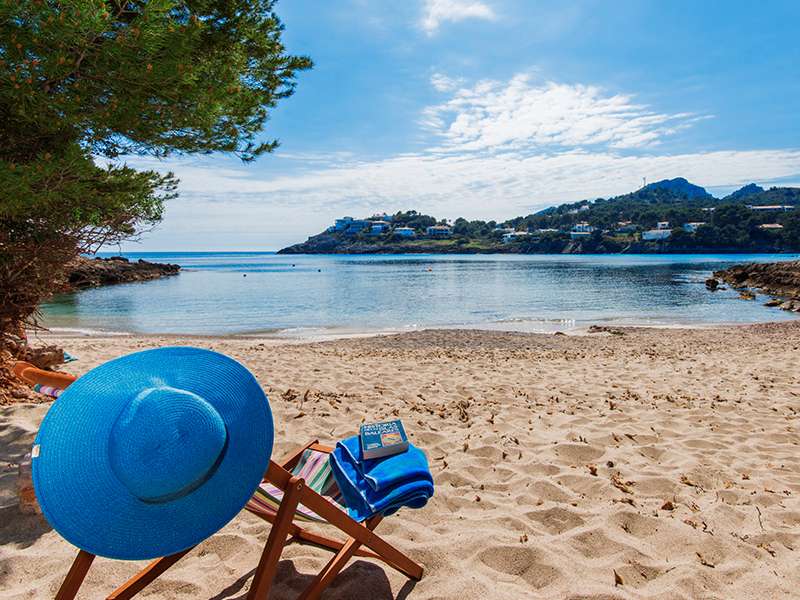 [object Object] - image