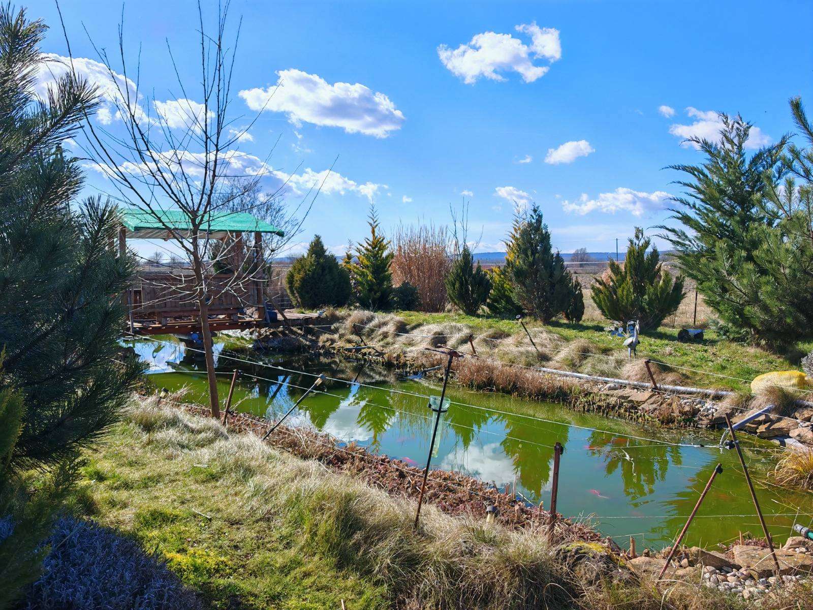 [object Object] - image