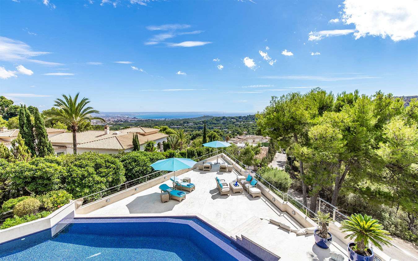 [object Object] - image