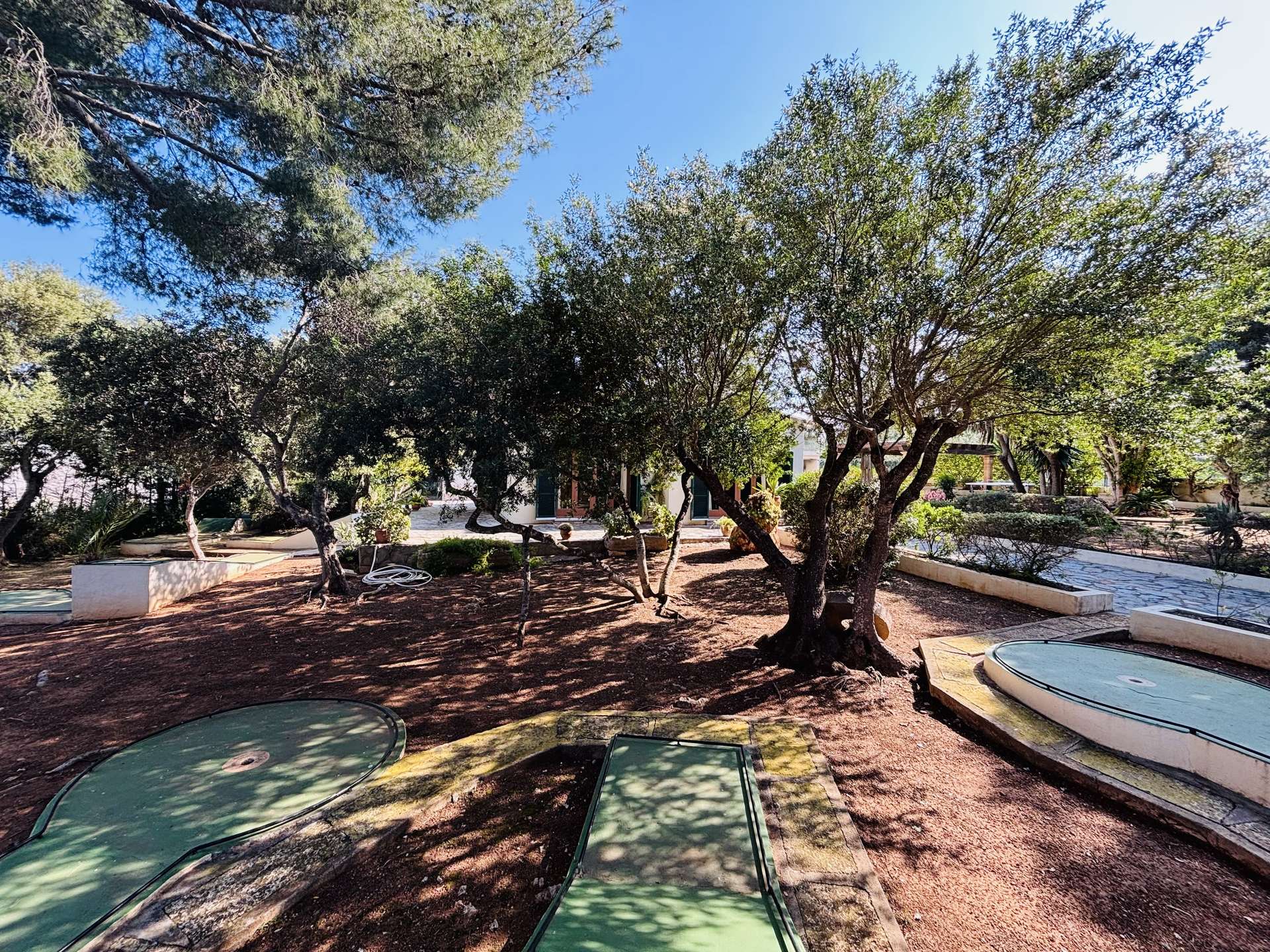 [object Object] - image