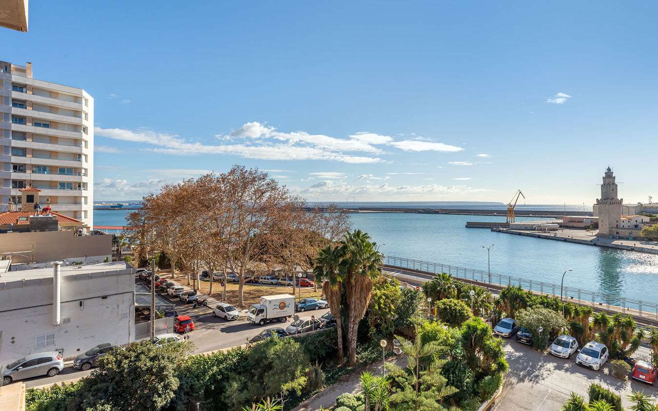 [object Object] - image