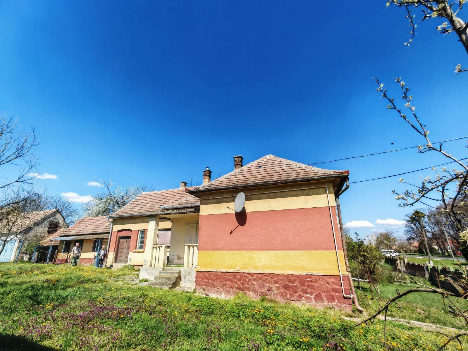 [object Object] - image