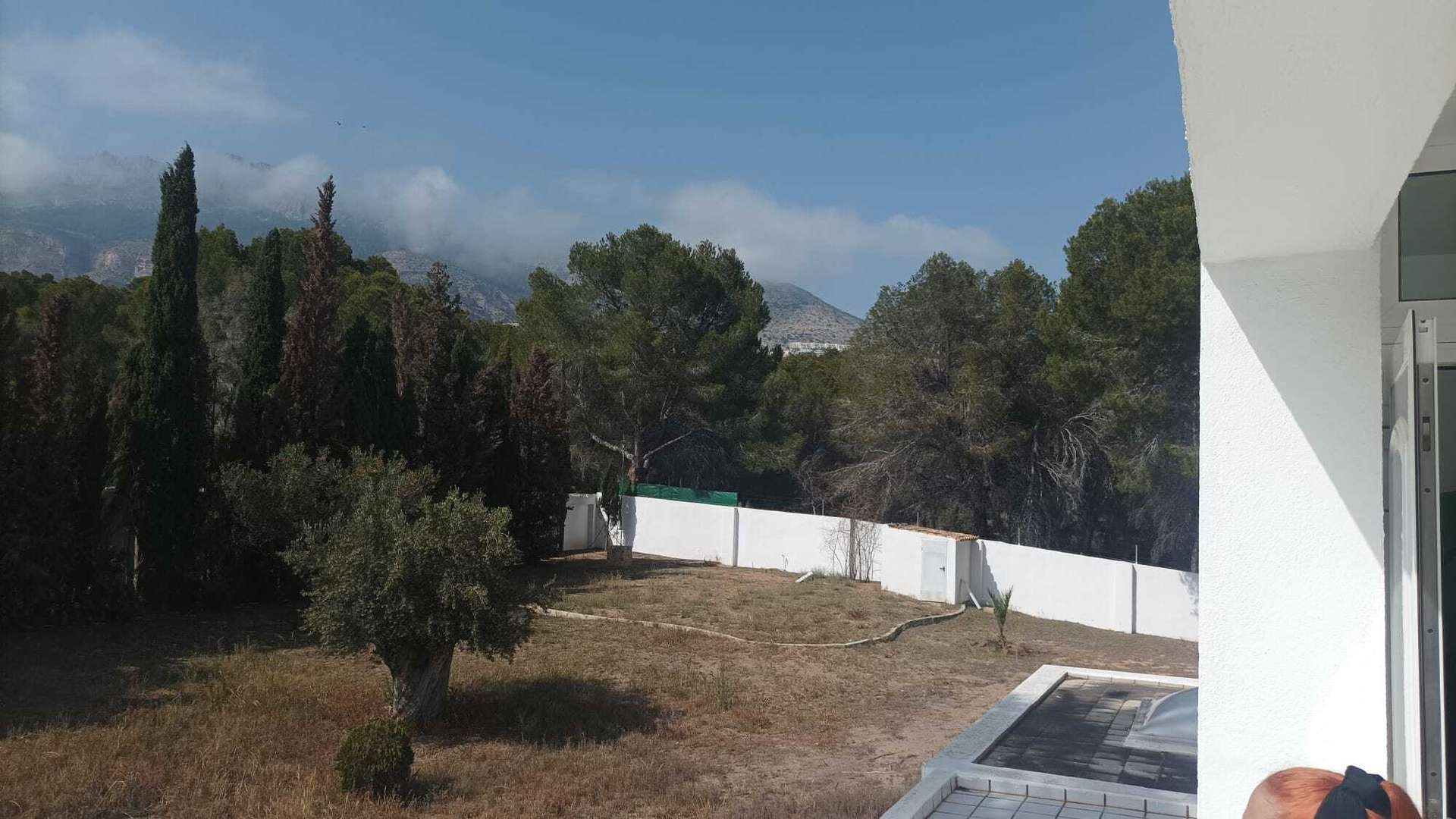 [object Object] - image