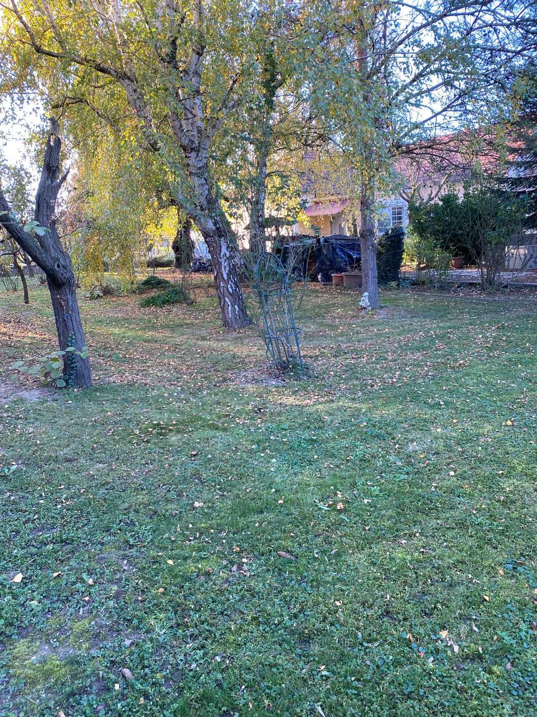 [object Object] - image