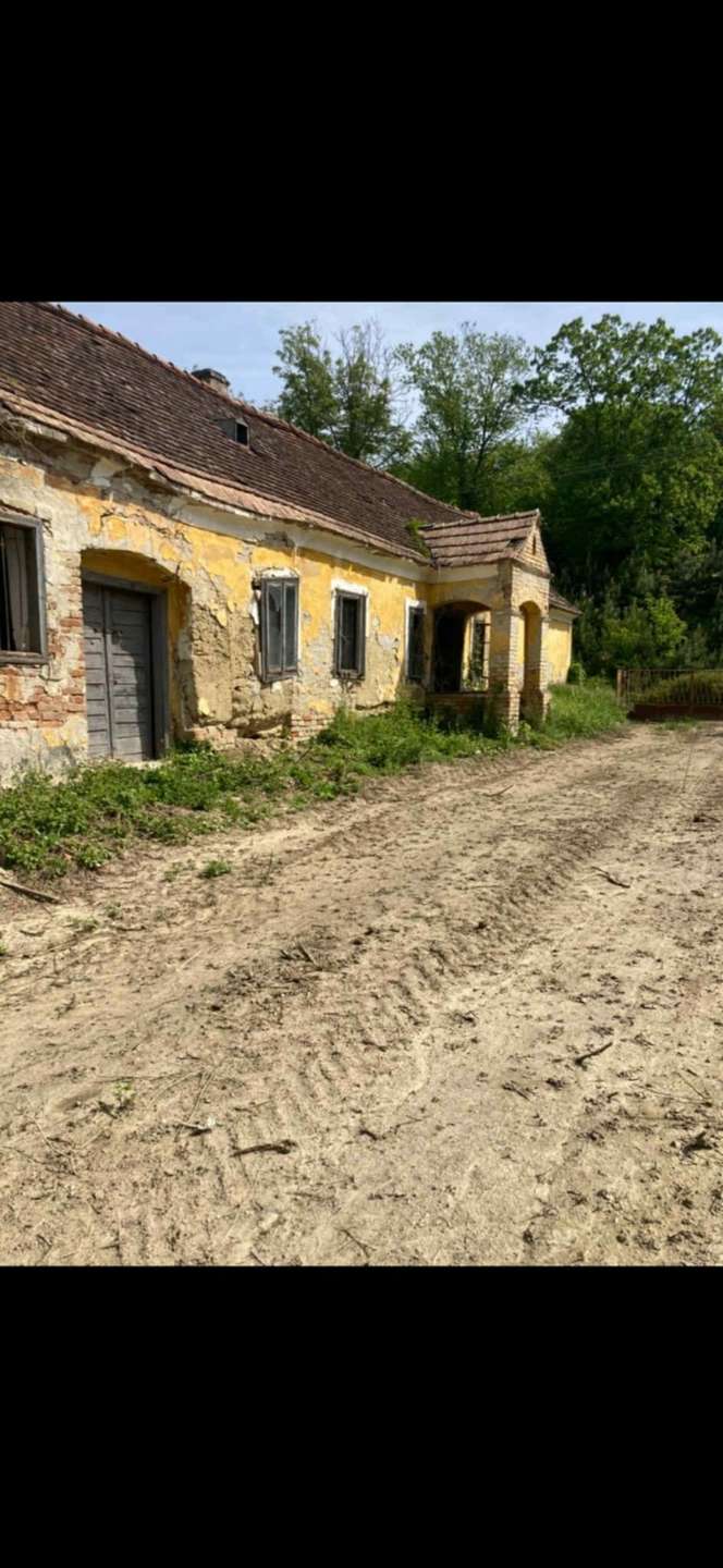 [object Object] - image