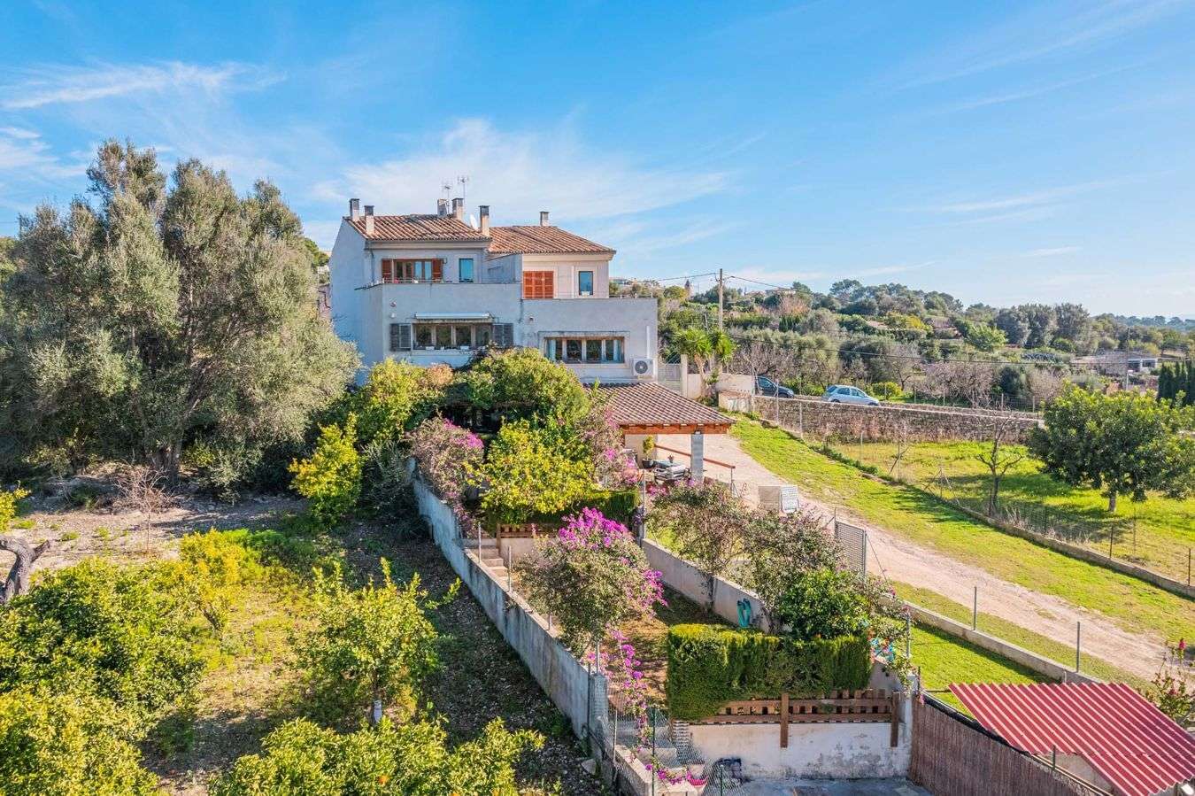 [object Object] - image