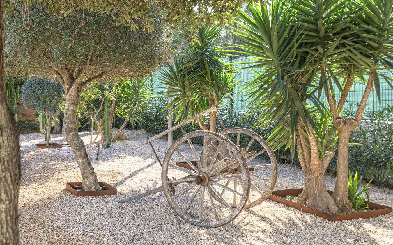 [object Object] - image