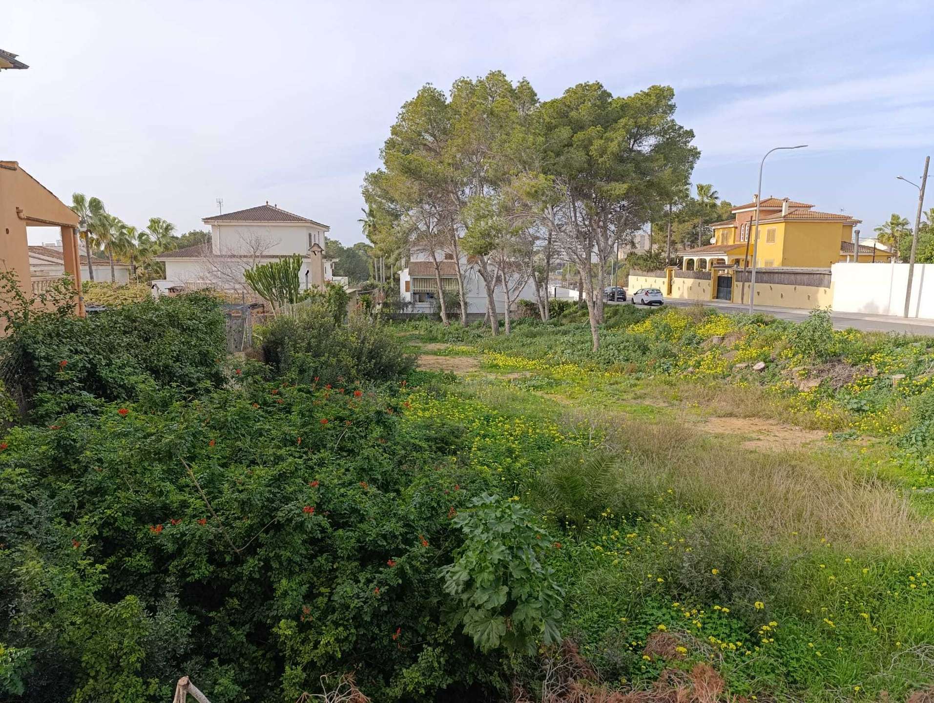 [object Object] - image