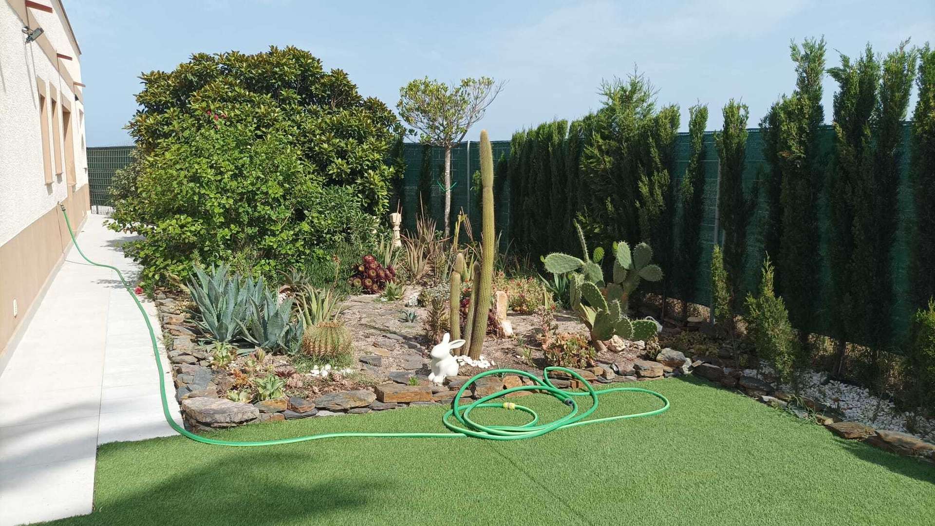 [object Object] - image